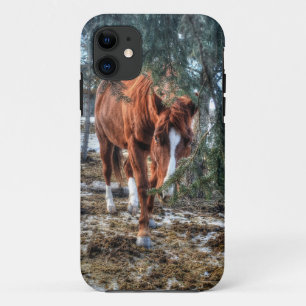 Coque Case-Mate Pour iPhone Shy Sorrel Mare et Branches Cadeau amateur de chev