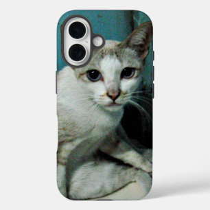 Coque Pour iPhone 16 Siamese Chat Friend