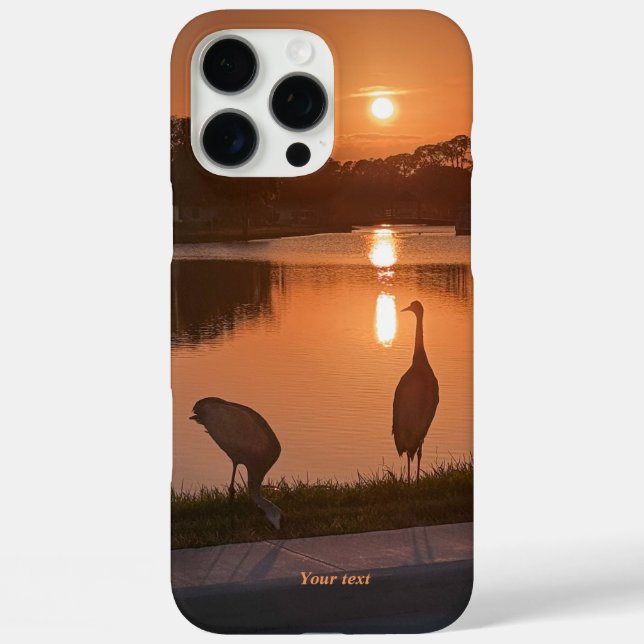 Coques Case-Mate iPhone Silhouette des grues de Sandhill au coucher du sol (Verso)