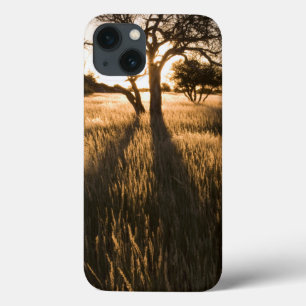 Etui iPhone Case-Mate Silhouette Of Acacia Trees In Grass. Mariental