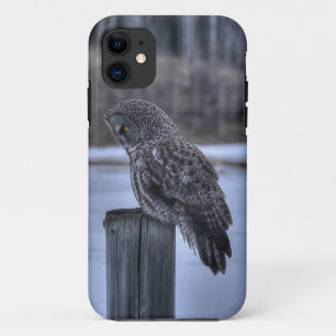 Coques Pour iPhone Sitting Great Grey Owl Faune Portrait III