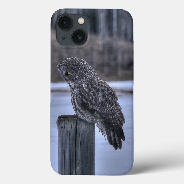 Coques Case-Mate iPhone Sitting Great Grey Owl Faune Portrait III (Verso)