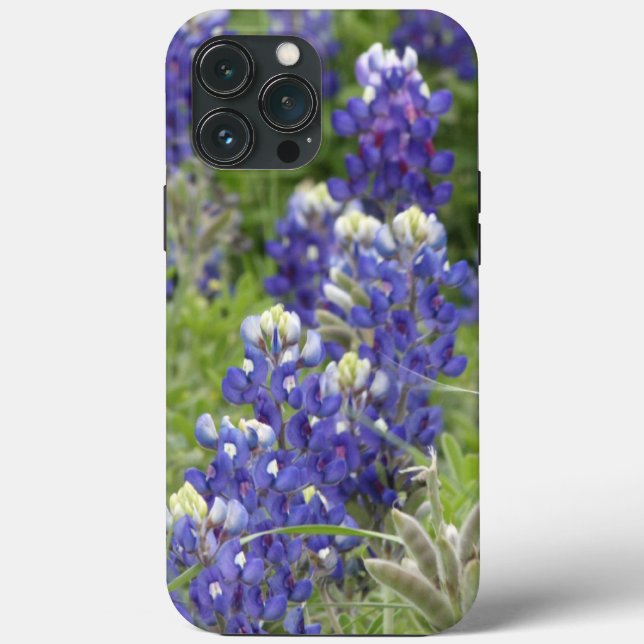 Coques Case-Mate iPhone SJefferson Texas Bluebonnets Series #2 (Verso)