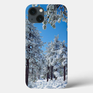 Coques Pour iPhone Snow-covered trees in the Laguna Mountains