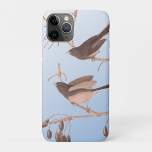 Case-Mate iPhone Case Snowbirds sur une branche hivernale dénudée