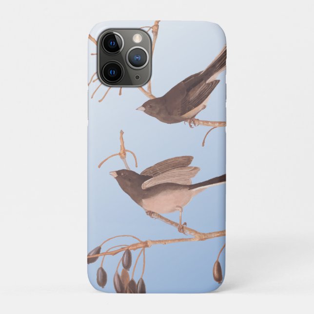 Coques Case-Mate iPhone Snowbirds sur une branche hivernale dénudée (Dos)