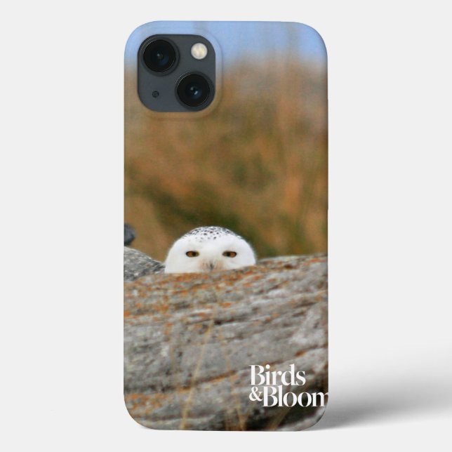 Coques Case-Mate iPhone Snowy owl (Verso)