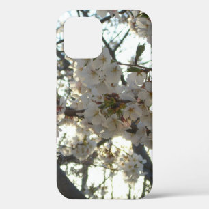 Case-Mate iPhone Case Soirée Fleurs de cerisiers II Printemps coucher de