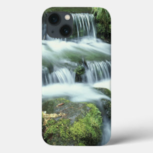 iPhone 13 Coque Source aux fougères, Parc national de Yosemite