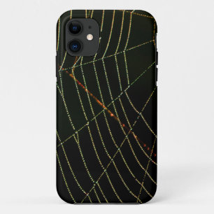 Coque iPhone 11 Spider Web