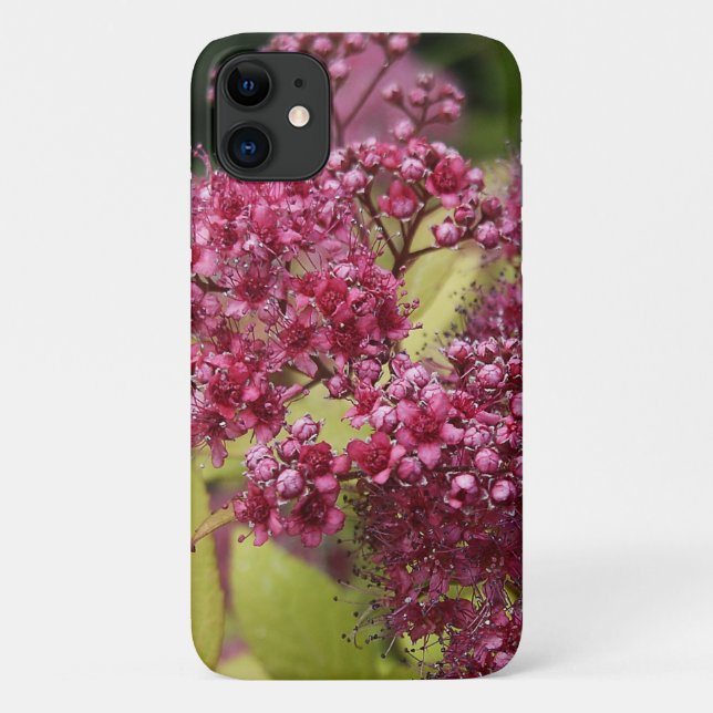 Coques Case-Mate iPhone Spirea rose (Dos)