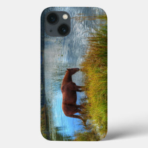 iPhone 13 Case Stallion De Châtaignier Au Lac Pittoresque Photo