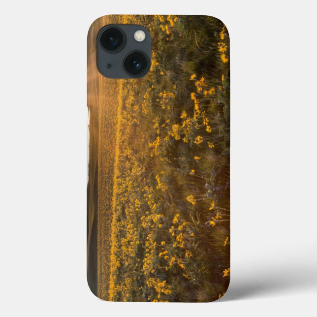 Coques Case-Mate iPhone Stand Of Arrowleaf (Verso)