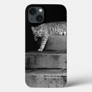 iPhone 13 Coque Stray Cat sur Stairs