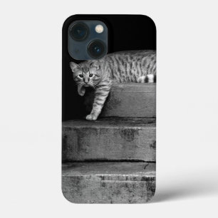 Etui iPhone 13 Mini Stray Cat sur Stairs
