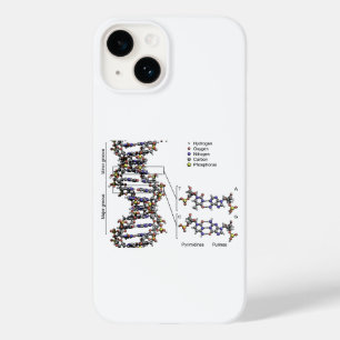 Coque Pour iPhone 14 Structure de l'ADN Diagramme des bases acides déso