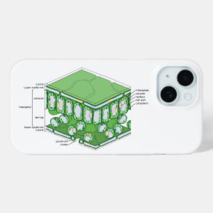 Coque Pour iPhone 15 Structure tissulaire de la feuille Diagramme de la