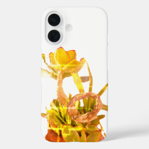 Coque Pour iPhone 16 style et design de l'iphone 16 pomme