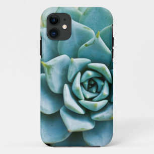 Case-Mate iPhone Case Succulent