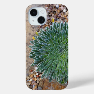 Coque Pour iPhone 15 Succulent plante du désert