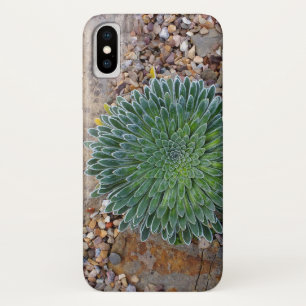 Case-Mate iPhone Case Succulent plante du désert