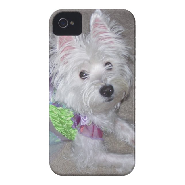 Coques Case-Mate iPhone Sucre 2 (Dos)