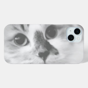 Coque iPhone 15 Mini SUPER CUTE Kitten Portrait Photographie