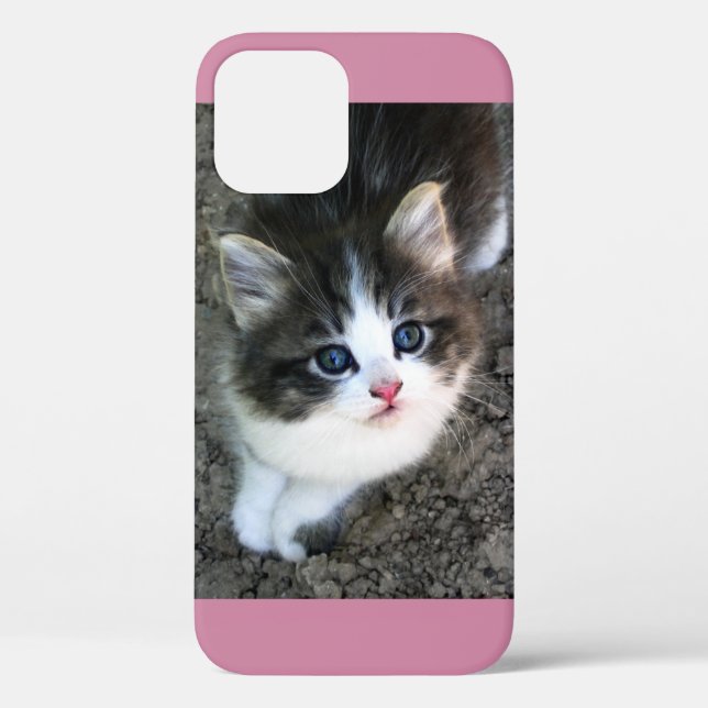 Coques Case-Mate iPhone SUPER CUTE Stray Kitten (Verso)