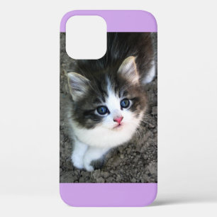 Coques Pour iPhone SUPER CUTE Stray Kitten