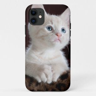 Coques Pour iPhone Super mignon Kitten blanc