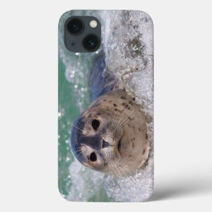 Coques Pour iPhone Surfer de bébé phoque