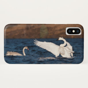Case-Mate iPhone Case Swan