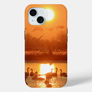 Coque Pour iPhone 15 Swans dans le lac au coucher du soleil