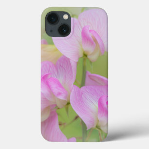 Etui iPhone Case-Mate Sweet Pea Blossoms   Seabeck, WA