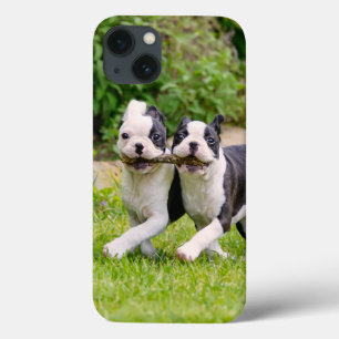 Case-Mate iPhone Case Sympa drôles Boston Terrier chiens chiots jouer -