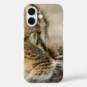 Coque Pour iPhone 16 Tabby Cat Face Gros plan