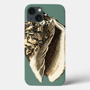 Case-Mate iPhone Case Teal Conch Shell