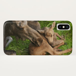 Case-Mate iPhone Case Tendre Mère Moose