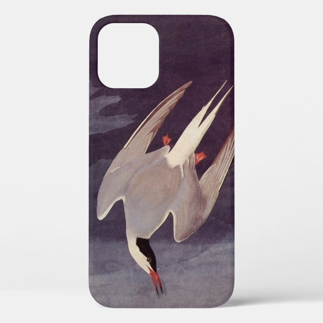 Coques Case-Mate iPhone Terne arctique par John James Audubon, Oiseaux Vin (Verso)