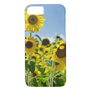 Coques Pour iPhone terrain de tournesol