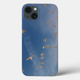 Etui iPhone 13 Terres