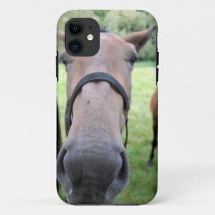 Coque iPhone 11 Tête de cheval