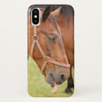 Tête de cheval 002