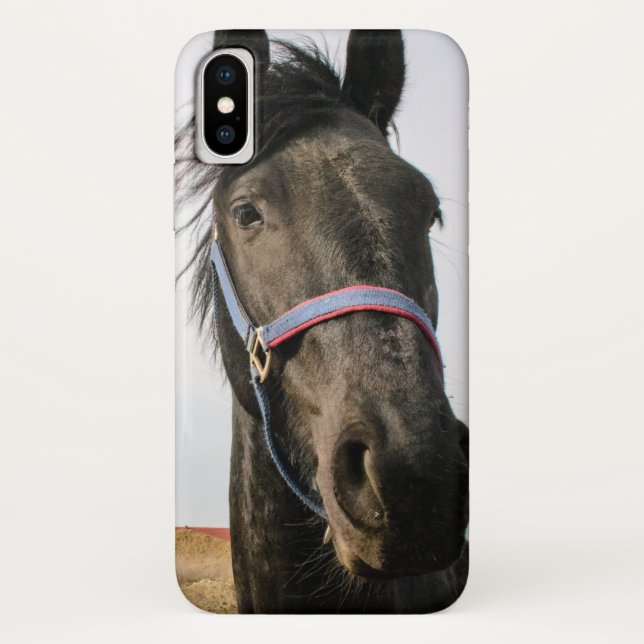 Coques Case-Mate iPhone Tête de cheval 007 (Dos)