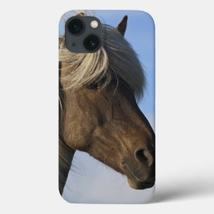 Etui iPhone 13 Tête de cheval islandais, Islande
