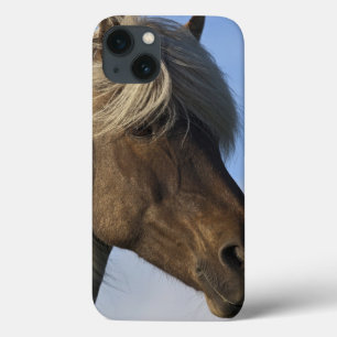 Etui iPhone 13 Tête de cheval islandais, Islande