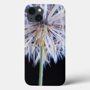 iPhone 13 Case Tête de semence Dandelion (Taraxacum Officinale)