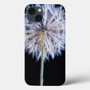 iPhone 13 Case Tête de semence Dandelion (Taraxacum Officinale)