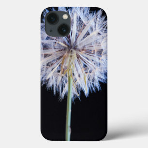 iPhone 13 Case Tête de semence Dandelion (Taraxacum Officinale)