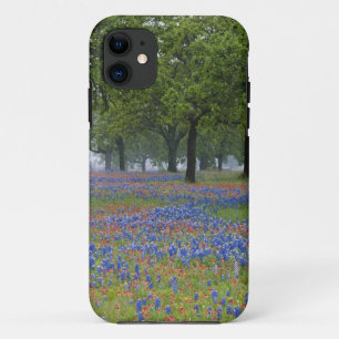 Coque iPhone 11 Texas, Texas Hill Country, Texas Paintbrush et